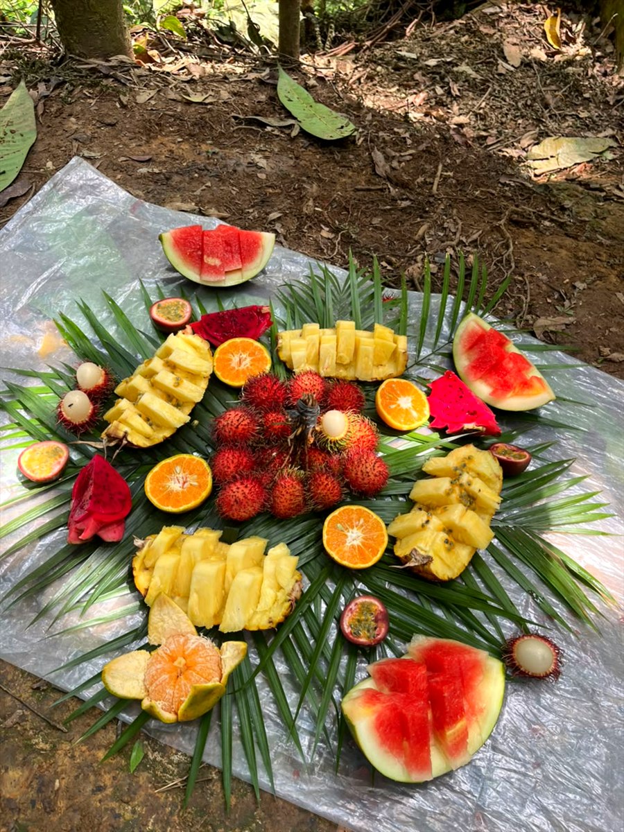 Hidangan buah untuk peserta trip